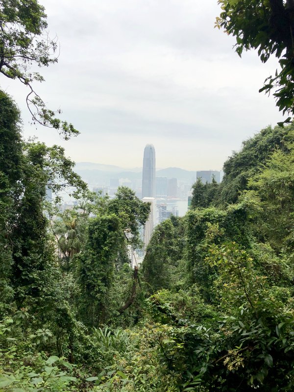 Photo of The Peak Tram at The Peak Tram