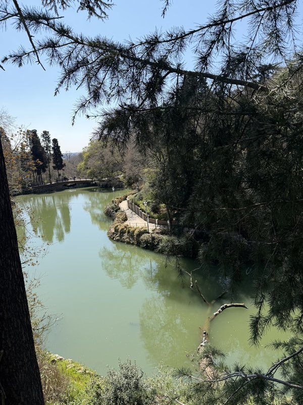 Yıldız Park at Yıldız Park